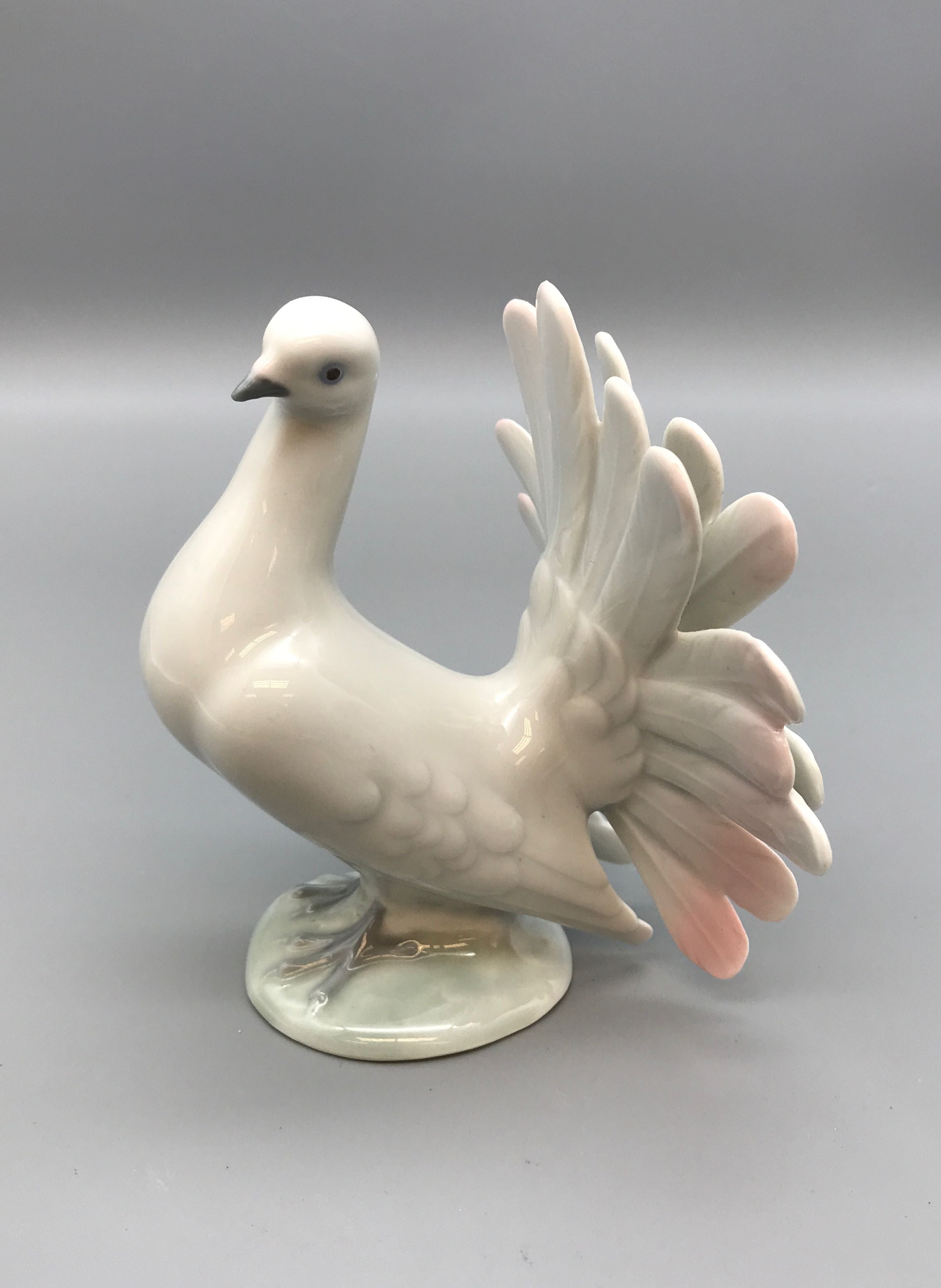 DGR Porcelain Fantail Dove Figurine Bird Carl Scheidig Grafenthal Germany