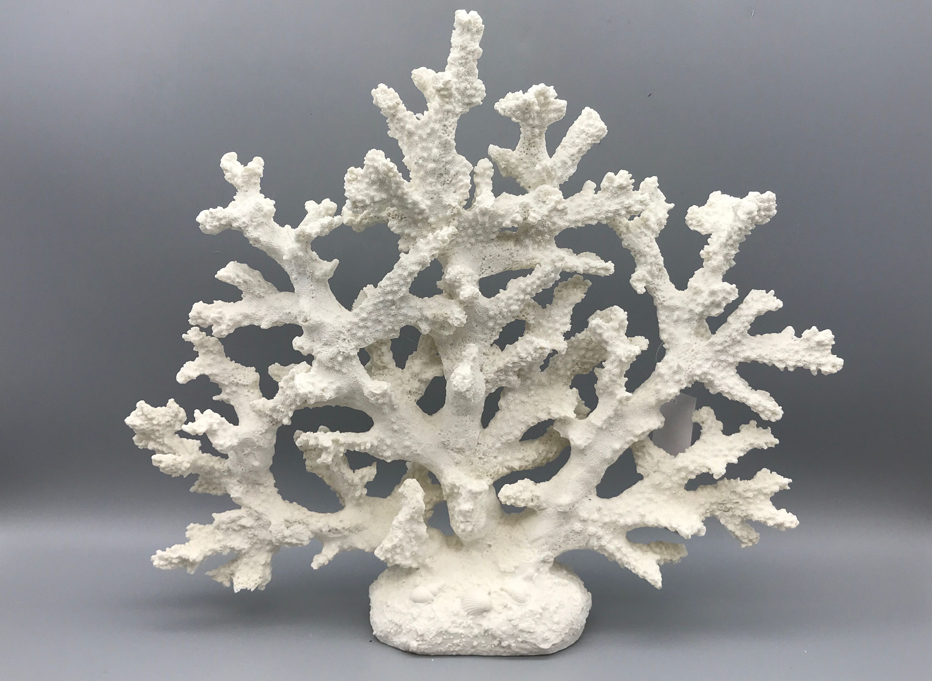 Williams Sonoma Coastal Decorative Coral Accessory by Kohl's Department Stores