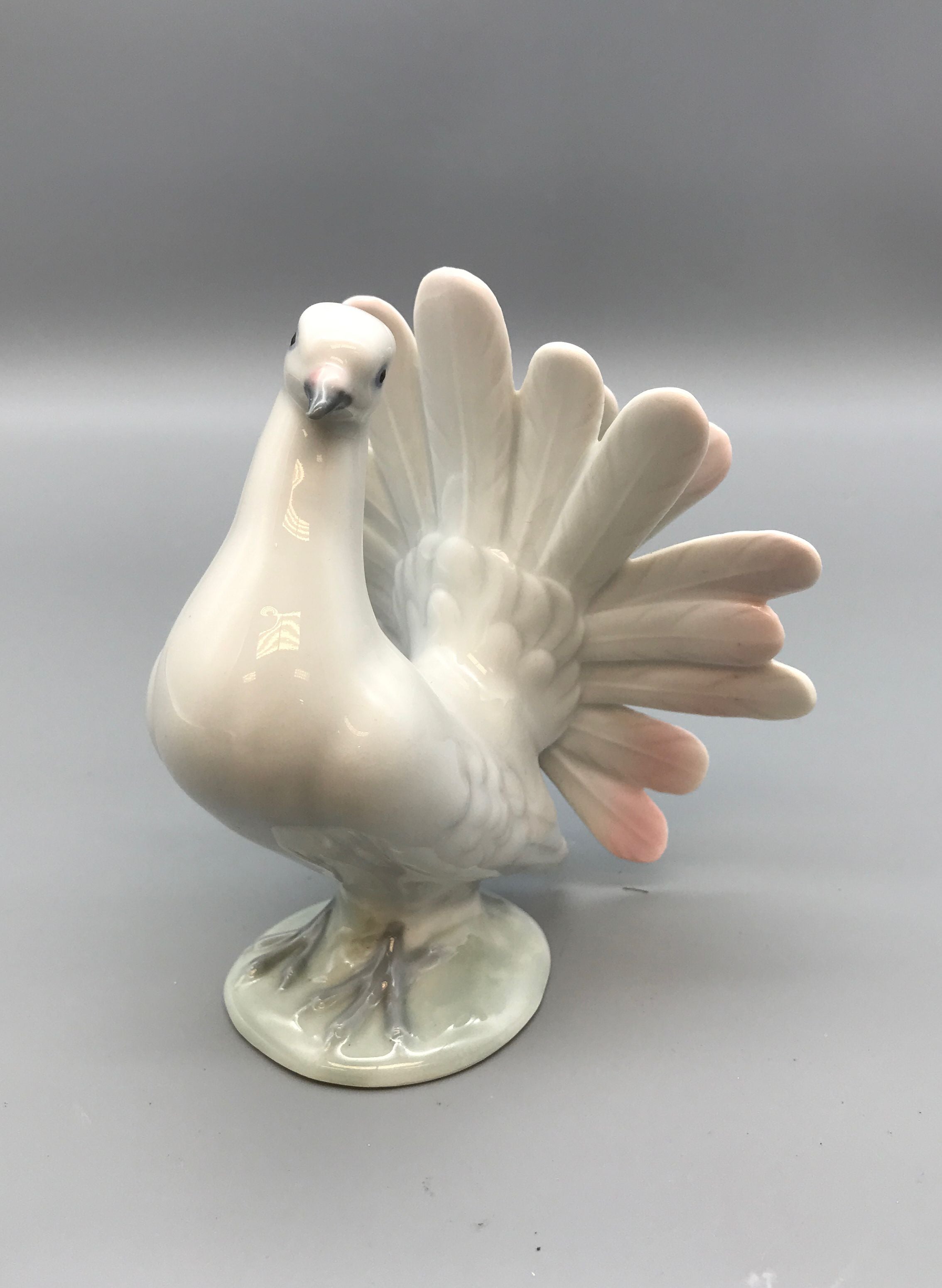 DGR Porcelain Fantail Dove Figurine Bird Carl Scheidig Grafenthal Germany
