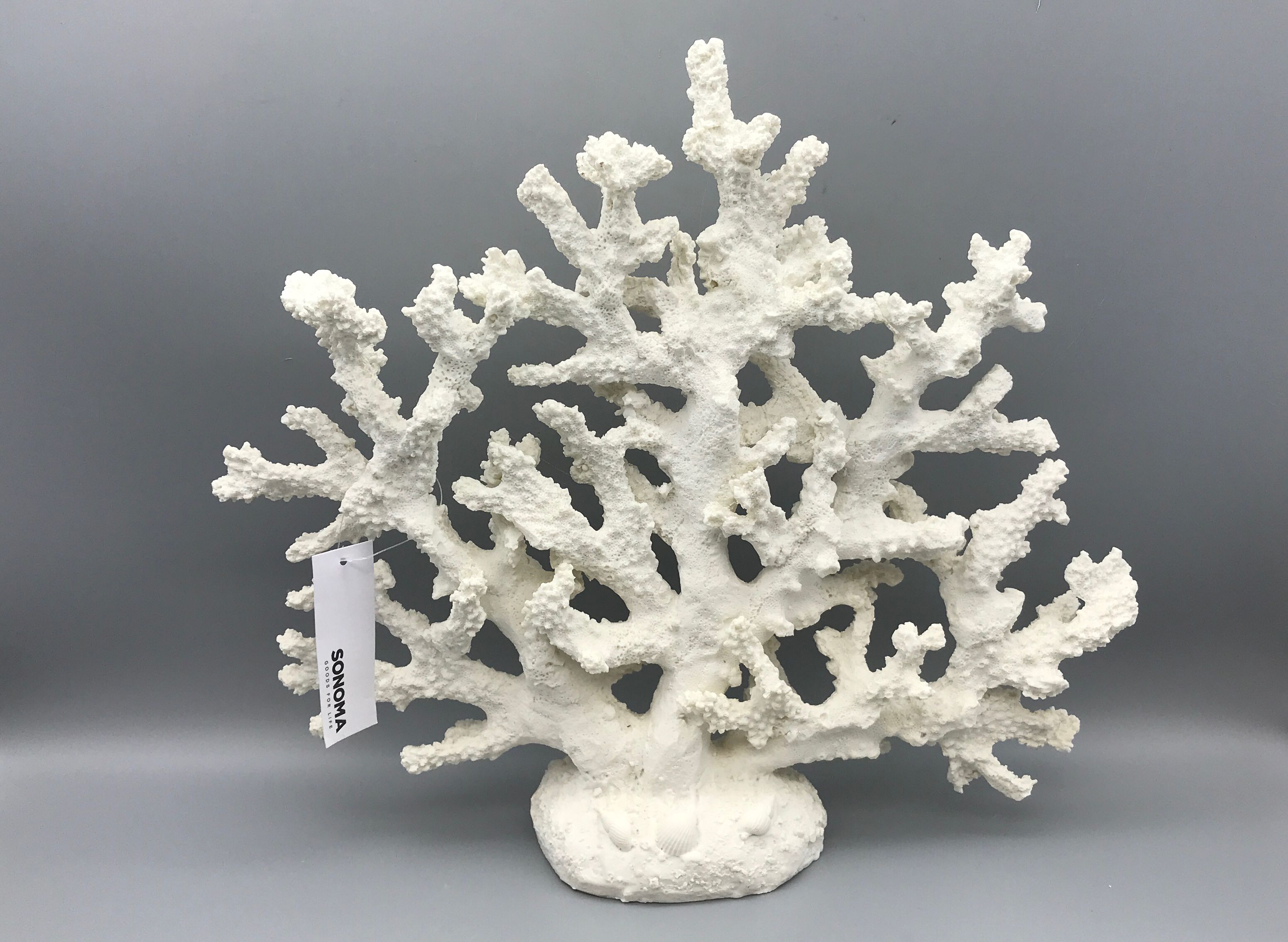 Williams Sonoma Coastal Decorative Coral Accessory by Kohl's Department Stores